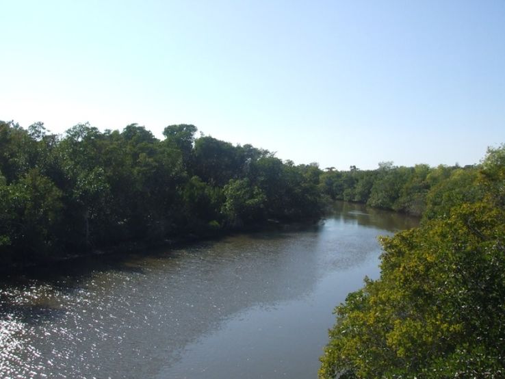 Rookery Bay National Estuarine Research Reserve Trip Packages