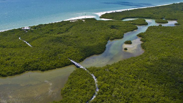 Clam Pass Park Trip Packages