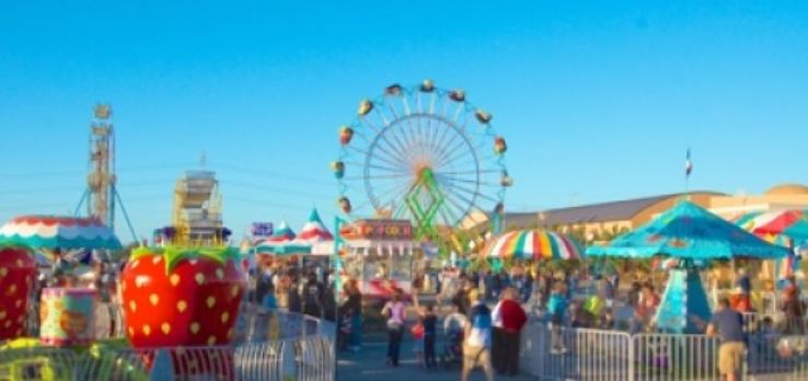 CityFest Trip Packages