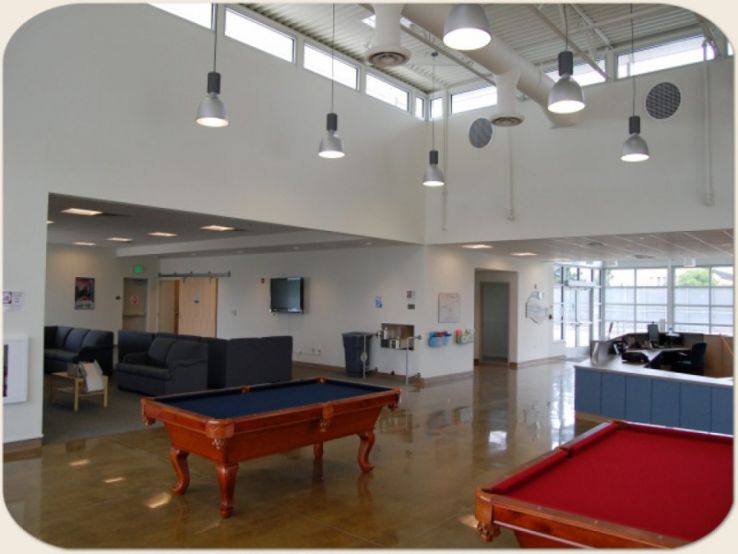 The Vibe Trip Packages