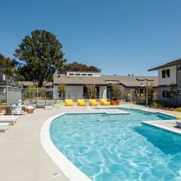 Foster City Lagoons Trip Packages