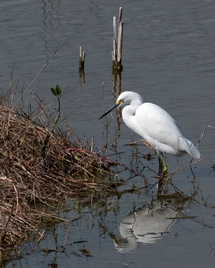 Ten Thousand Islands National Wildlife Refuge Trip Packages