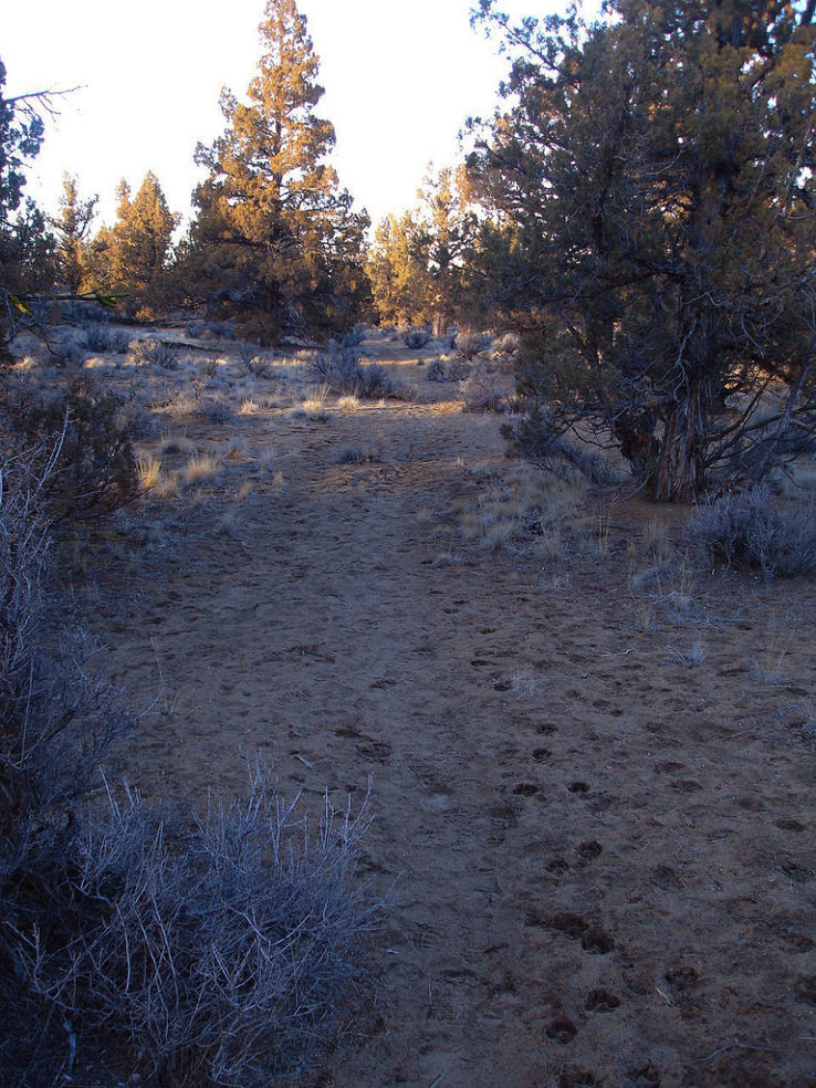 Deschutes Historical Museum Trip Packages