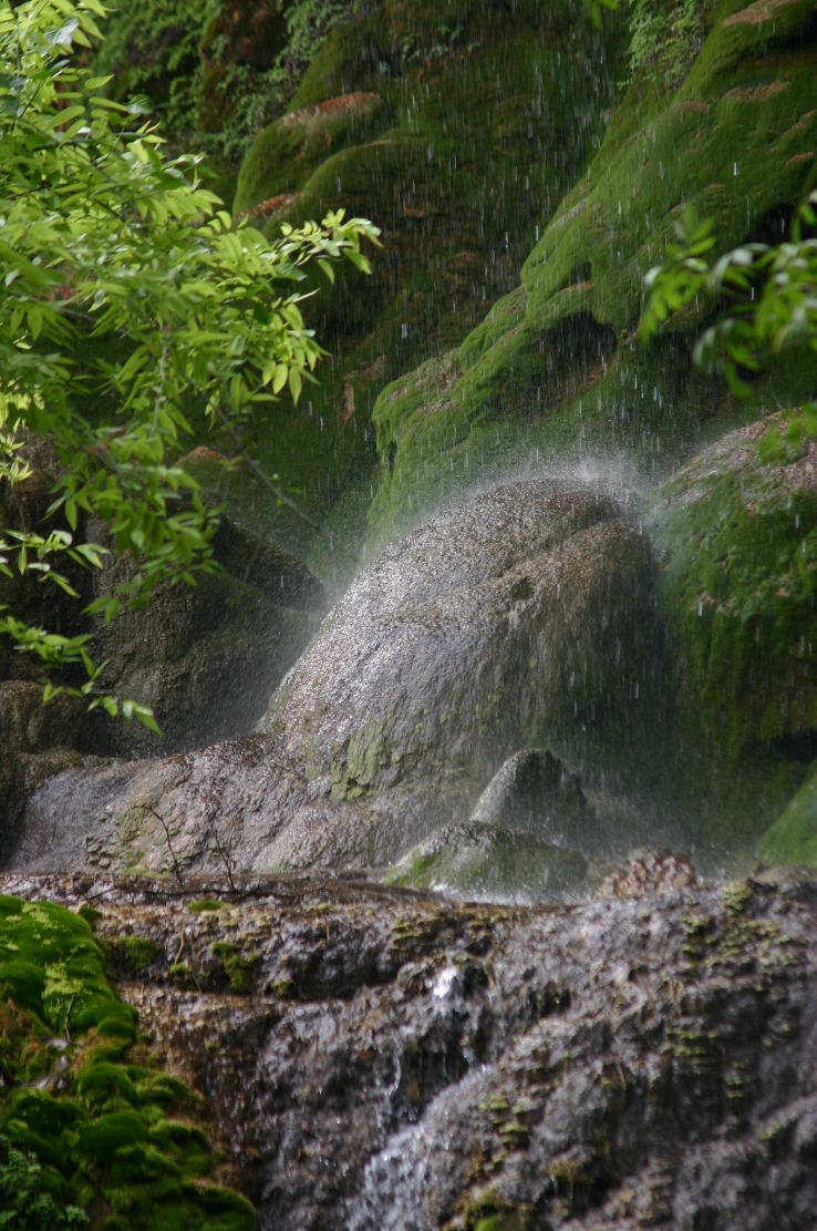 Riverbend Park Trip Packages