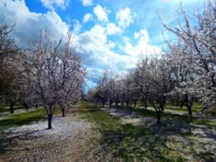 Sun Meadow Park Trip Packages