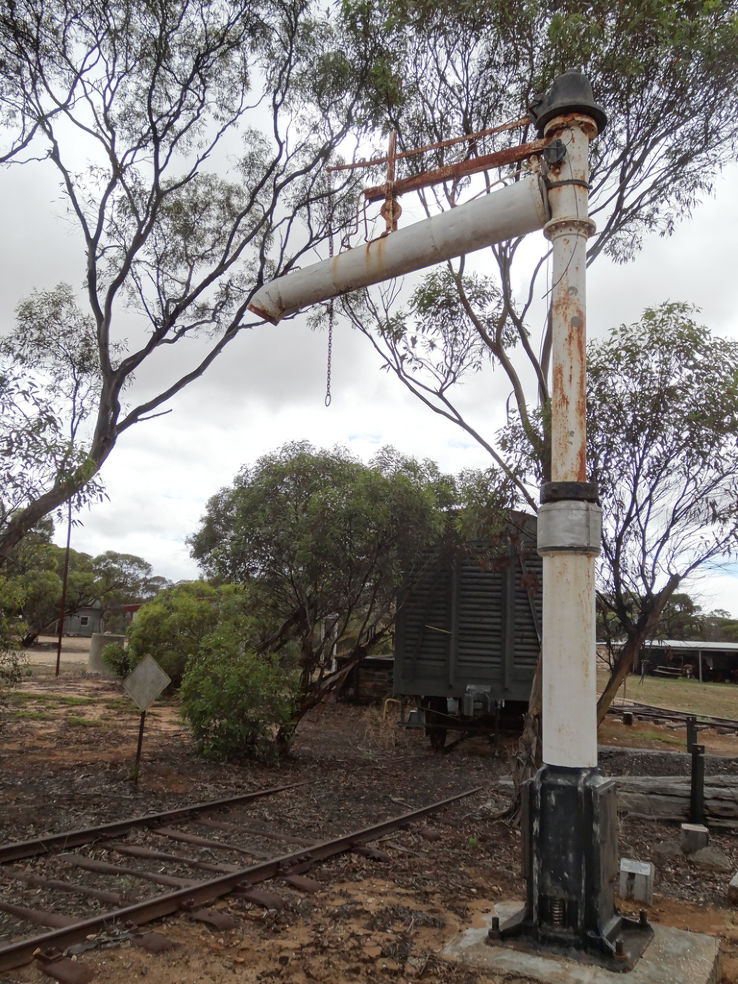 Pioneer Park Trip Packages