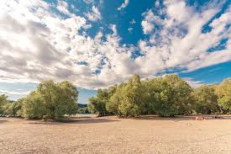  Meadow Day Use Area Trip Packages