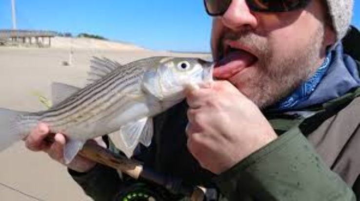 Delmarva Fishermen Follies Trip Packages