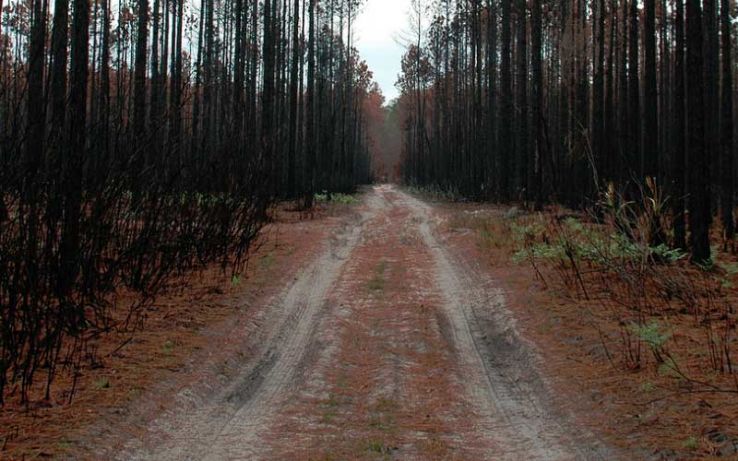 Osceola National Park Trip Packages