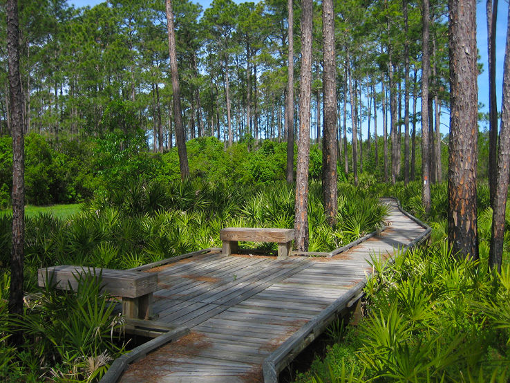 Osceola National Park Trip Packages