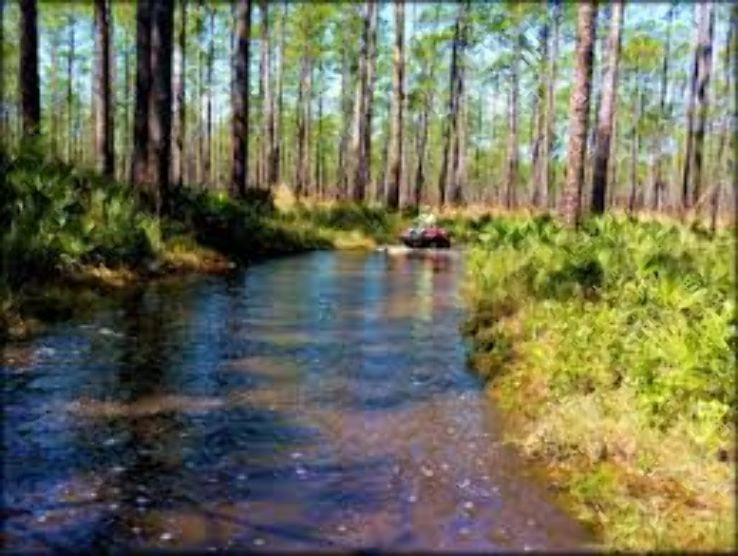 Osceola National Park Trip Packages