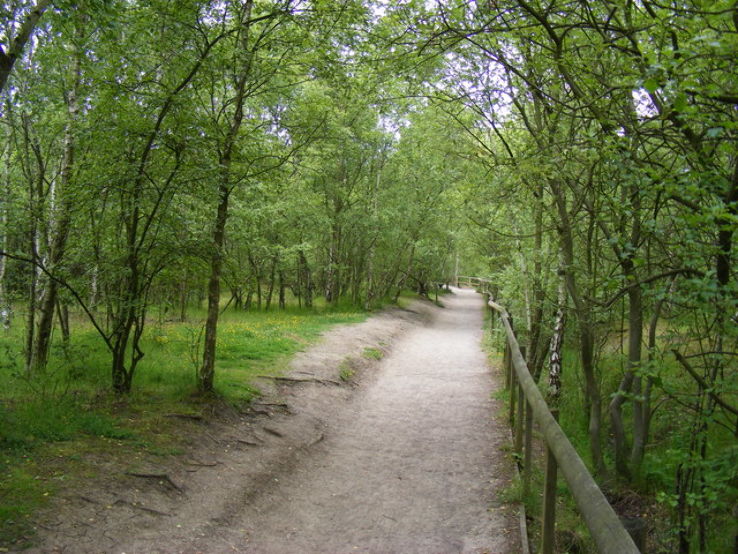 Shorne Wood Country Park Trip Packages