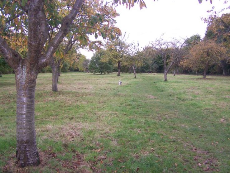 Capstone Farm Country Park Trip Packages