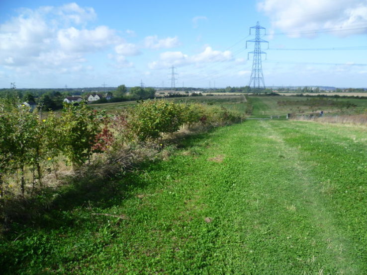 Jeskyns Trip Packages