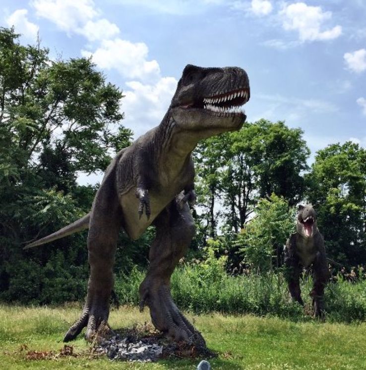 Field Station: Dinosaurs Trip Packages
