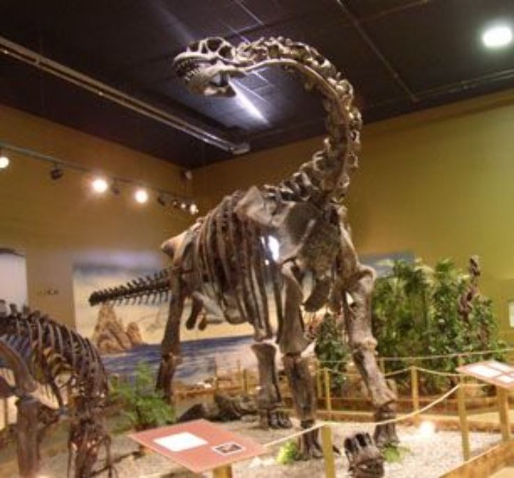 The Wyoming Dinosaur Center Trip Packages