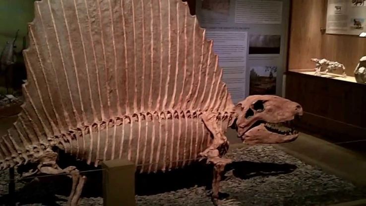 The Wyoming Dinosaur Center Trip Packages