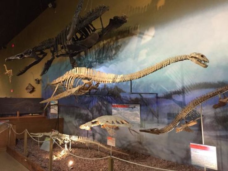 The Wyoming Dinosaur Center Trip Packages