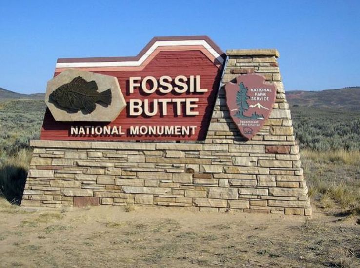 Fossil Butte National Monument Trip Packages