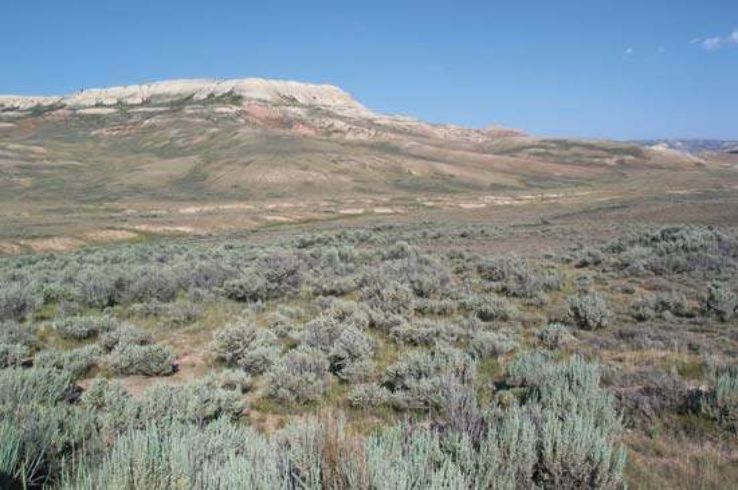Fossil Butte National Monument Trip Packages