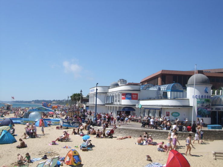 Oceanarium Bournemouth  Trip Packages