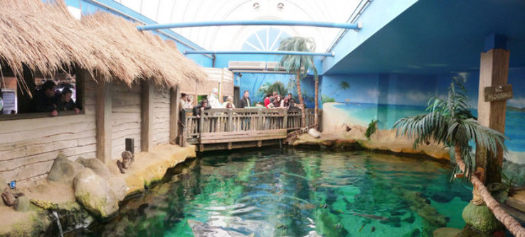 Oceanarium Bournemouth  Trip Packages