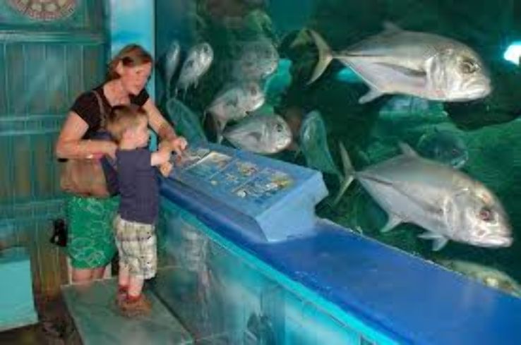 Oceanarium Bournemouth  Trip Packages