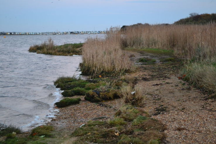 Christchurch Harbour  Trip Packages