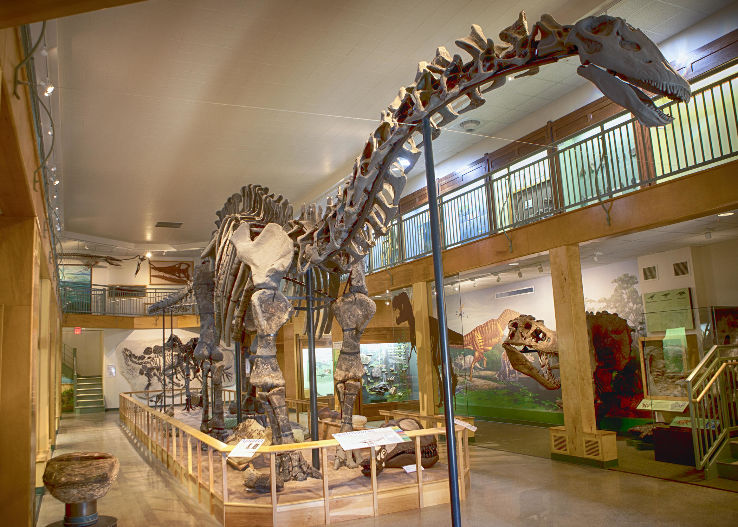 University of Wyoming Geological Museum Trip Packages