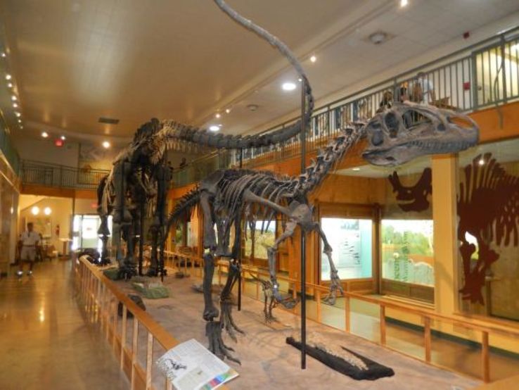 University of Wyoming Geological Museum Trip Packages