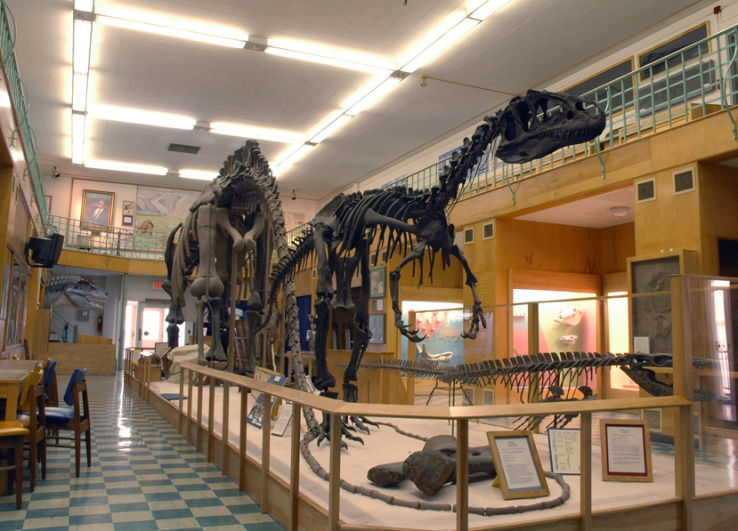 University of Wyoming Geological Museum Trip Packages