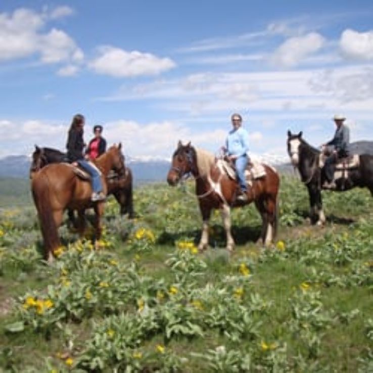 A-OK Corral Trip Packages