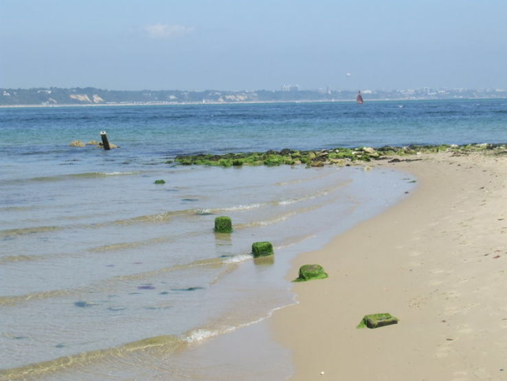 Shell Bay Trip Packages