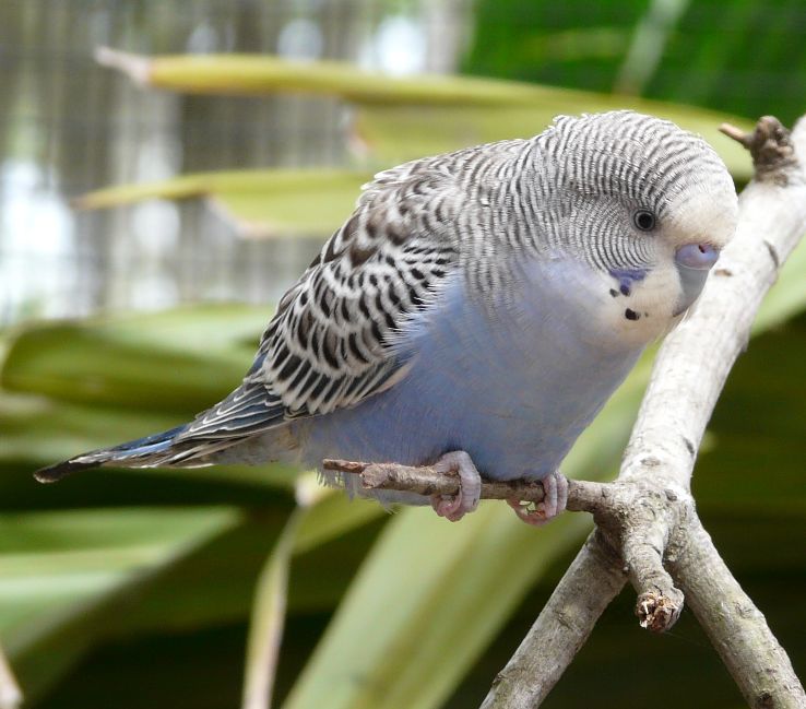 Bournemouth Beach Trip Packages