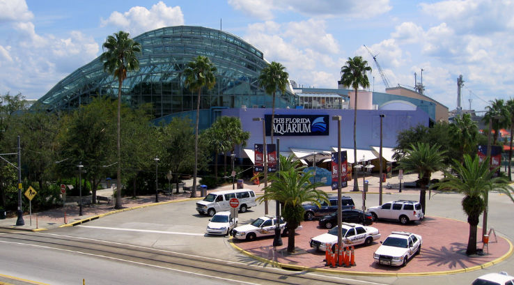 Florida Aquarium Trip Packages