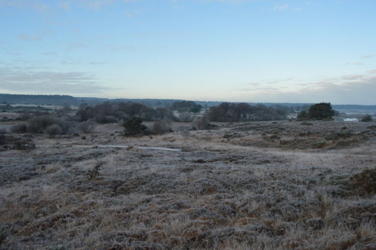 Studland and Godlingston Heath National Nature Reserve  Trip Packages