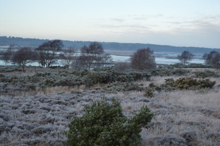 Studland and Godlingston Heath National Nature Reserve  Trip Packages