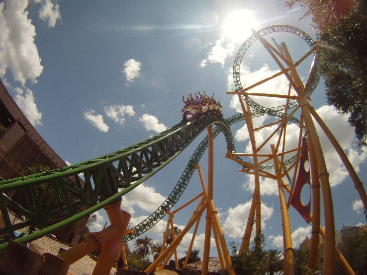 Cheetah Hunt Trip Packages