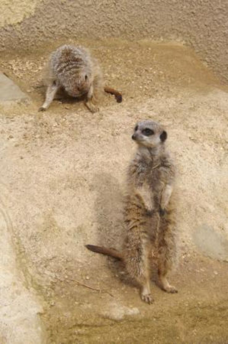 Exotic Pet Refuge  Trip Packages