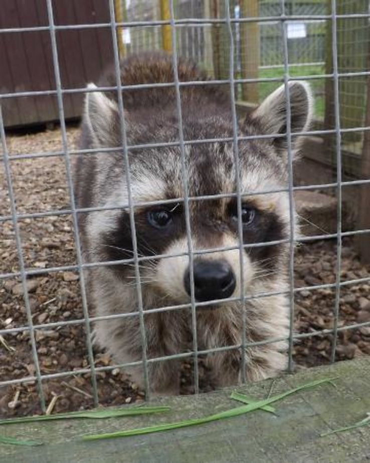 Exotic Pet Refuge  Trip Packages