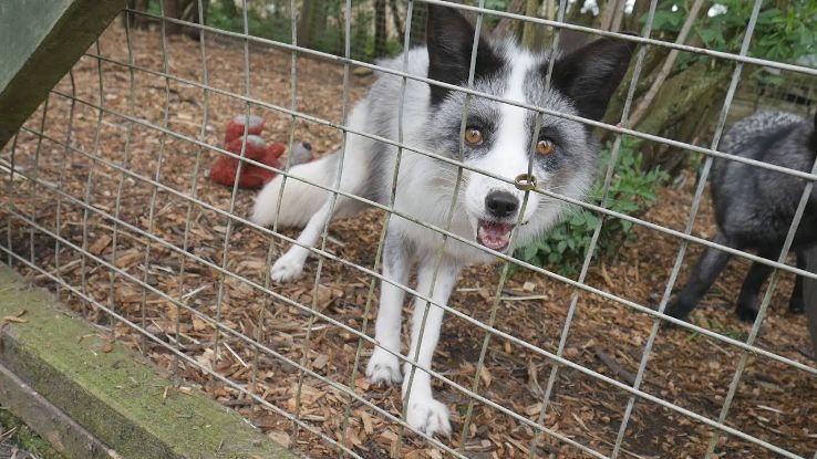 Exotic Pet Refuge  Trip Packages