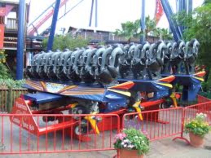 SheiKra Trip Packages