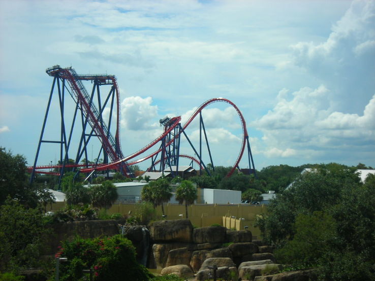 SheiKra Trip Packages