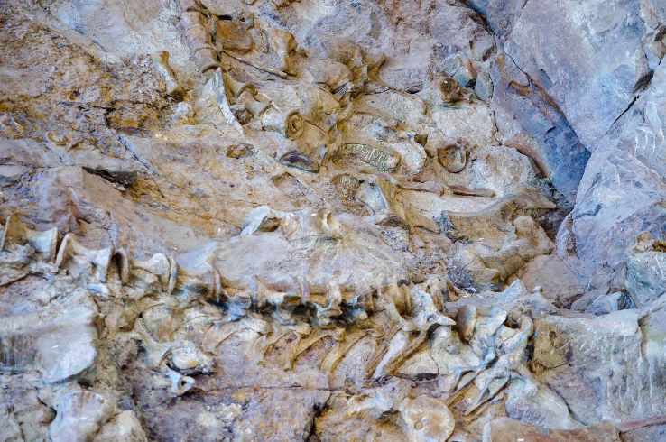 Dinosaur National Monument Trip Packages