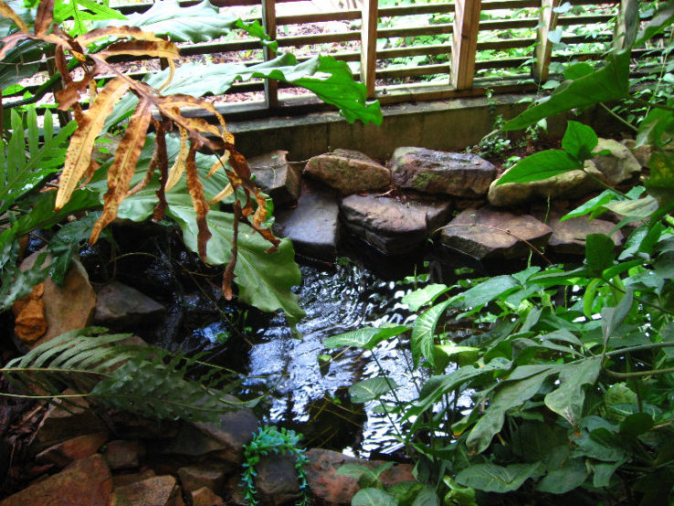  University of South Florida Botanical Gardens Trip Packages