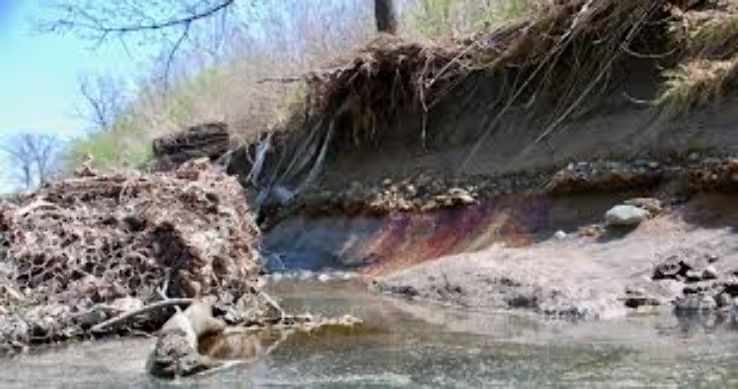 Trout Creek Park Trip Packages