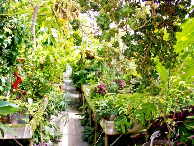 Marsh Botanical Garden  Trip Packages