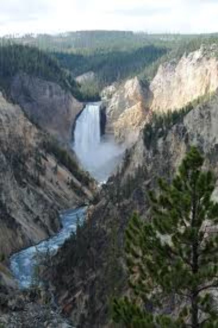 Yellowstone National Park  Trip Packages