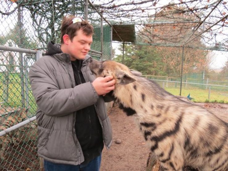 Jungle Cat World Trip Packages Jungle Cat World Trip Packages