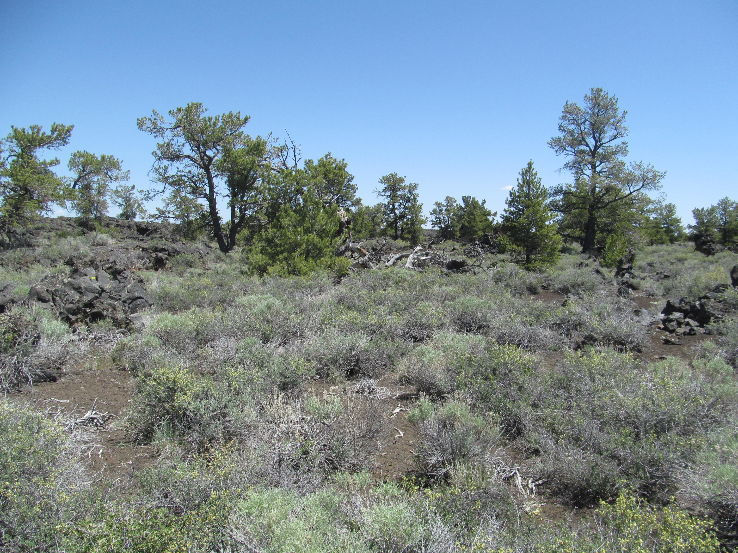 Craters of the Moon National Monument & Reserves  Trip Packages
